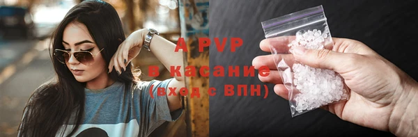 стафф Алексин